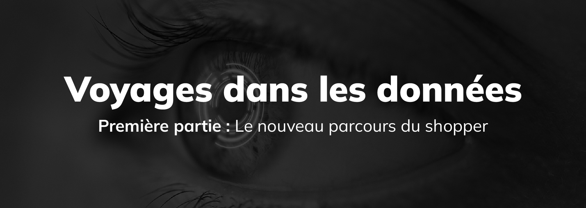 Banner_French