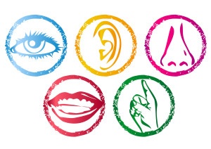 bigstock-Five-Senses-Icon-set-091713