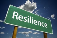 bigstock-Resilience-Road-Sign-3363000-2-300x199