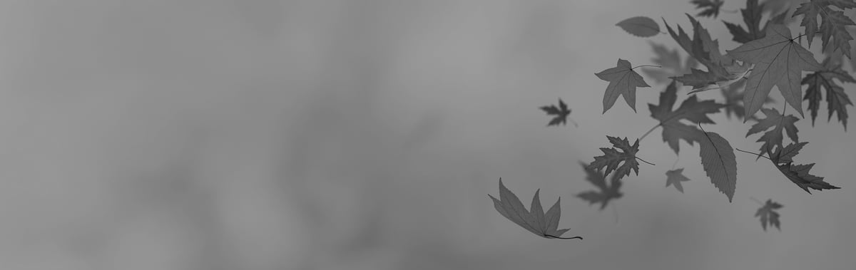 Seasonal banner - b&w