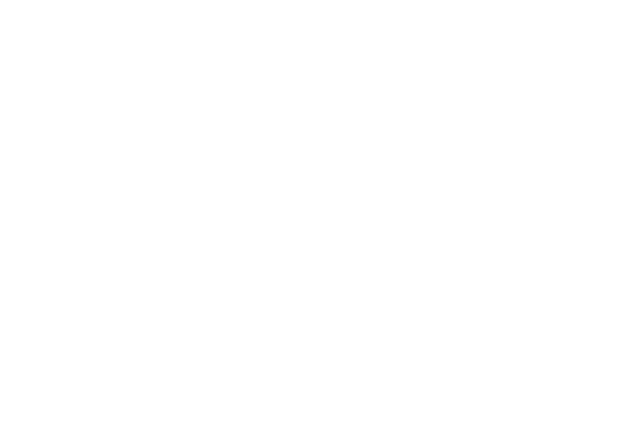 CPM Merchandising in Centra