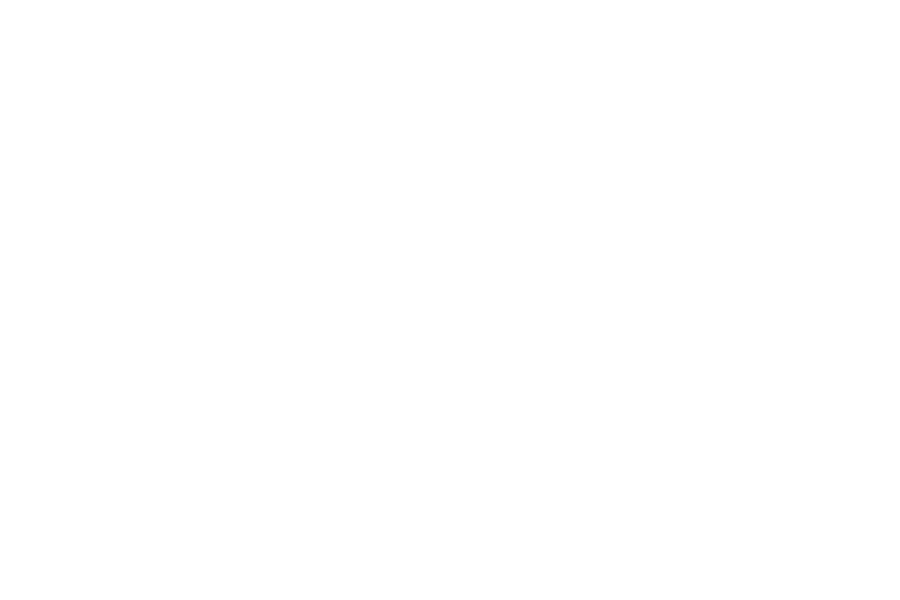 CPM Merchandising in Lidl