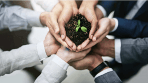 hands holding young plant