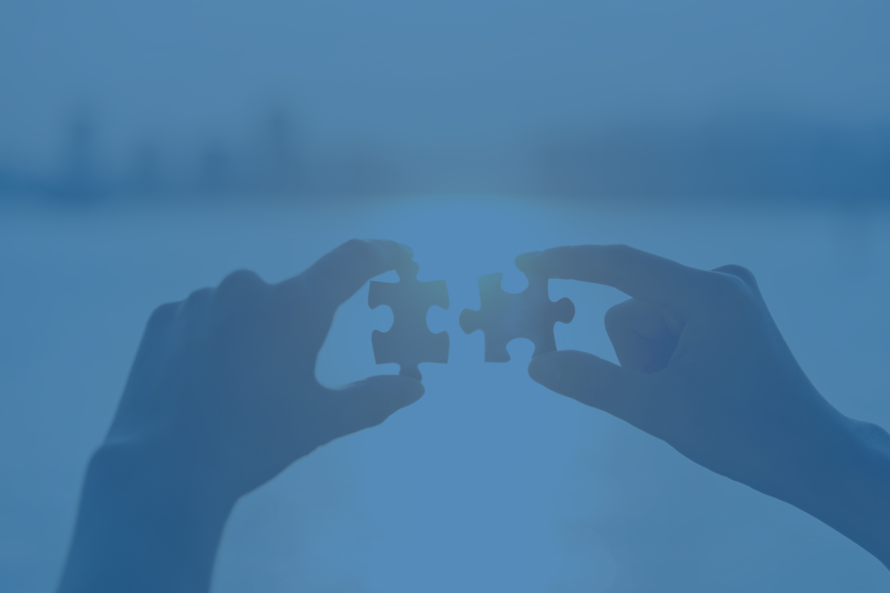 Partnerships 